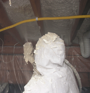 Fayette AL crawl space insulation